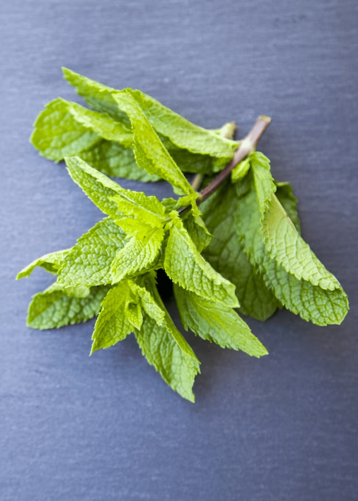 The Benefits of Peppermint Tea