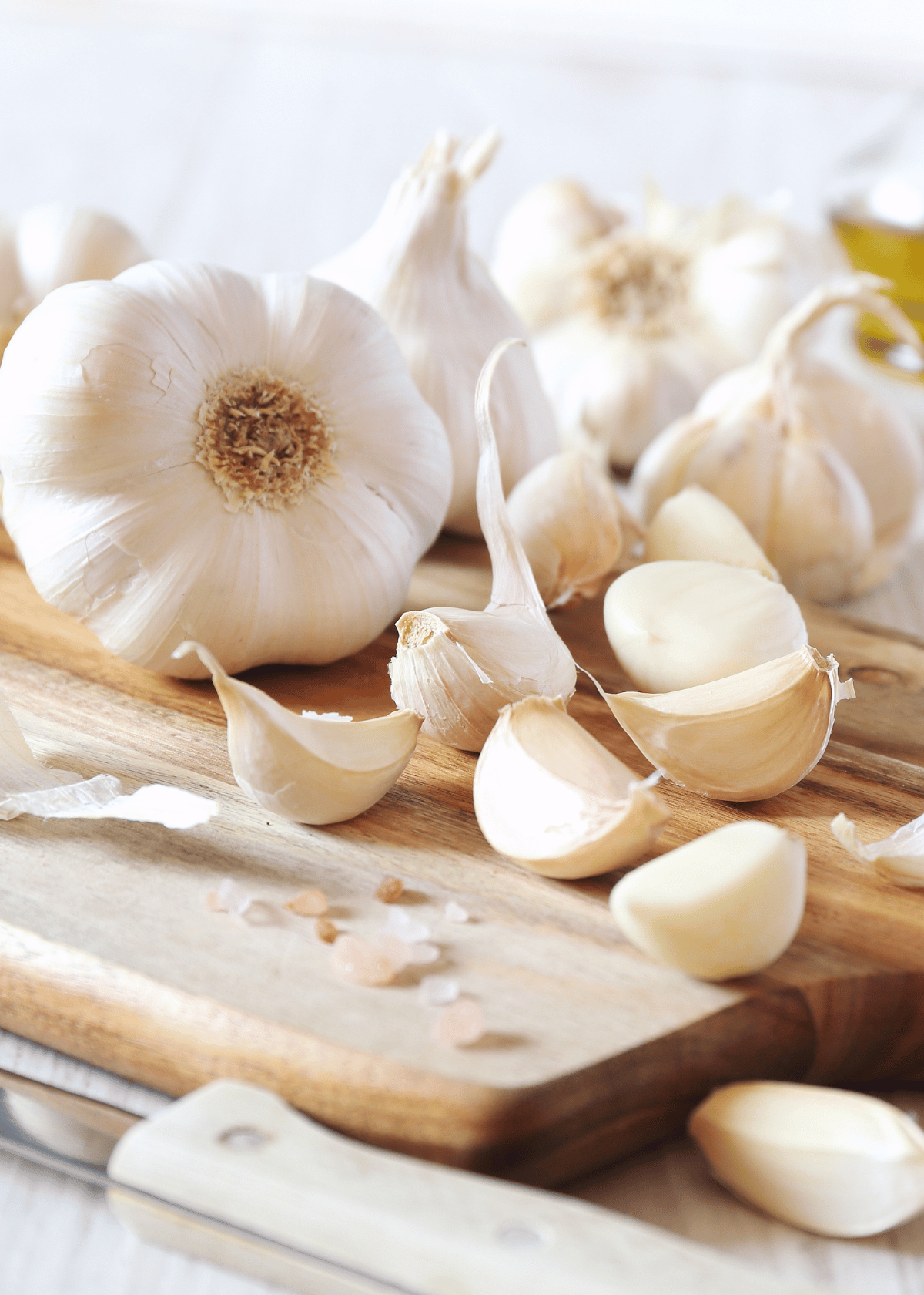 best garlic press